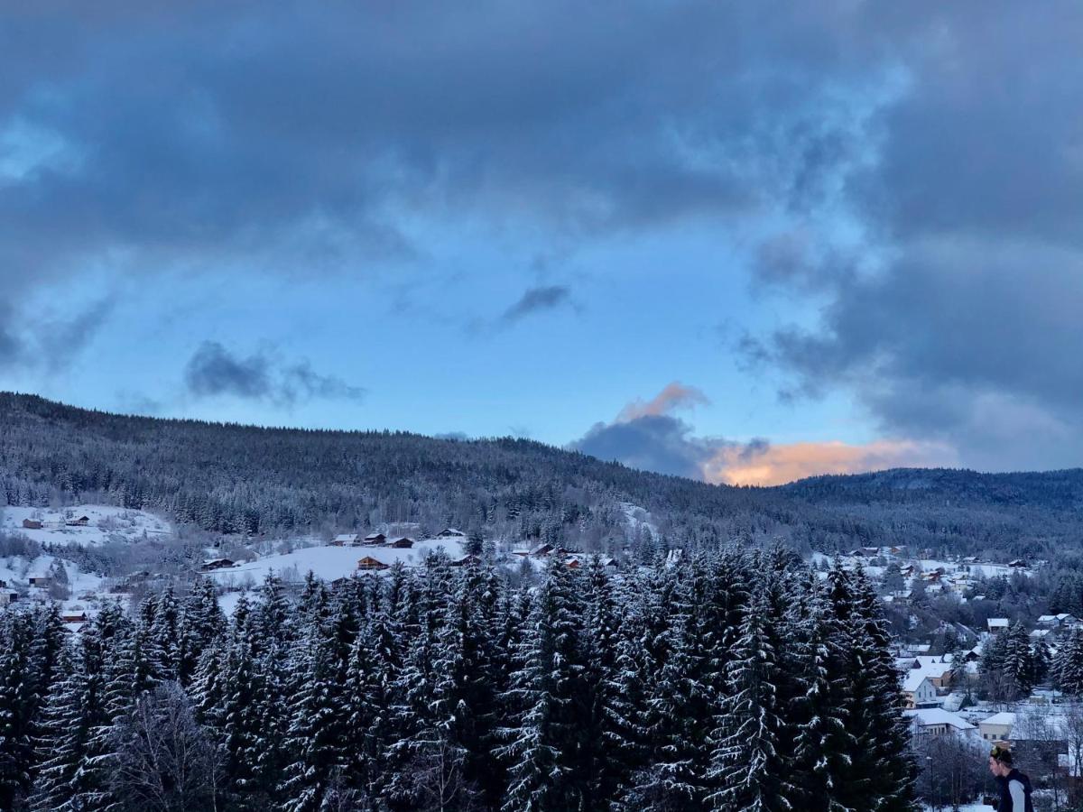 Le Bois Des Neiges Charmant Chalet Authentique A 5 Mn De Gerardmer Xonrupt-Longemer Exterior foto